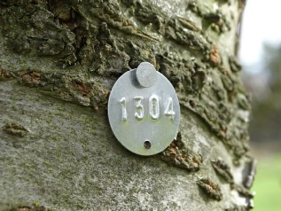 Tree and Forestry Survey Tags, Construction Tags