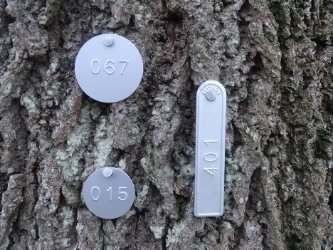 Numbered Tags - Alitags