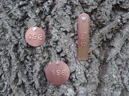 Numbered Tags in copper